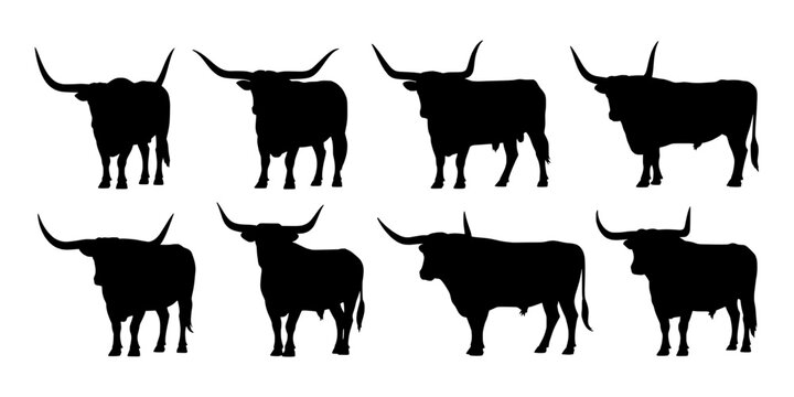 Bulls Silhouette Set with Long Horns and Strong Body Shapes Featuring Black, Animal, Livestock with Cattle and Farm Elements for Ranch, Western