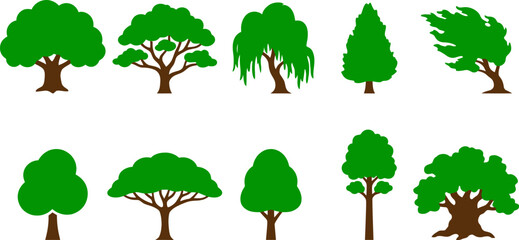 Collection of cartoon trees with different shapes and sizes on white background © VectoLover