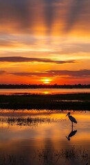 Naklejka premium Silhouette of a stork standing in a calm lake at golden sunset