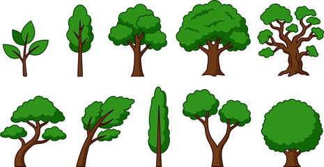 Collection of various cartoon trees with green leaves and brown trunks on white background © VectoLover
