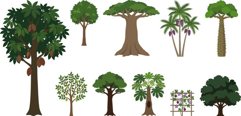 Collection of various trees and plants with green leaves and brown trunks  isolated on white background © VectoLover