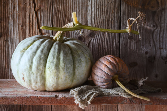 Heirloom pumpkin with striped gourd on wooden surface in warm natural lighting. Rustic harvest composition with squash and cozy fall atmosphere