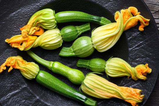 Fresh zucchini and blossoms arranged on dark plate, organic vegetables with edible flowers, cooking ingredient concept. Green squash and yellow blossoms top view
