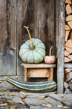 Decorative pumpkin on wooden stool with long squash near rustic doorway. Farmhouse fall composition with gourds and seasonal countryside decor