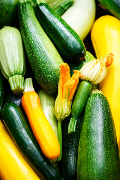 Close-up of mixed zucchini with blossom in basket, fresh garden vegetables, organic farming concept. Green and yellow squash detail, natural light, healthy vegetarian ingredient