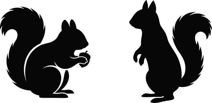 Black silhouette icons of squirrels, one holding an acorn, isolated on a white background for design projects