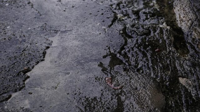 texture of the stone