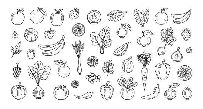 Modern hand drawn berries fruits and vegetables doodle sketch organic food vector collection