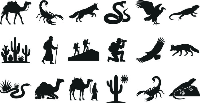 Desert Wildlife and Adventure Silhouette Collection Featuring Camel Snake Scorpion Eagle Fox and Explorer Scenes