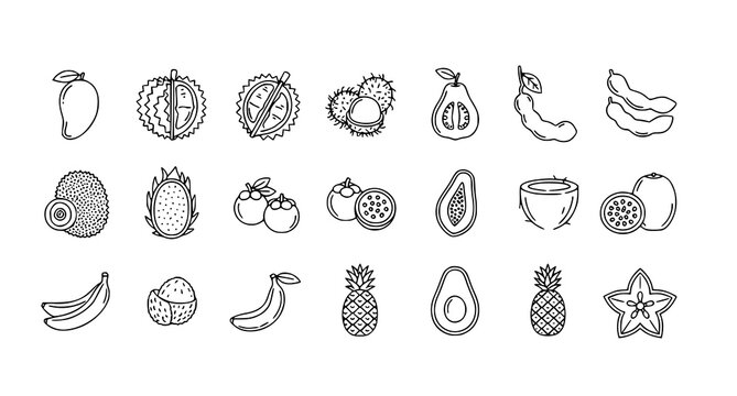 Exotic fruits minimal thin line vector web icons with mango durian rambutan and vegetarian outline symbols