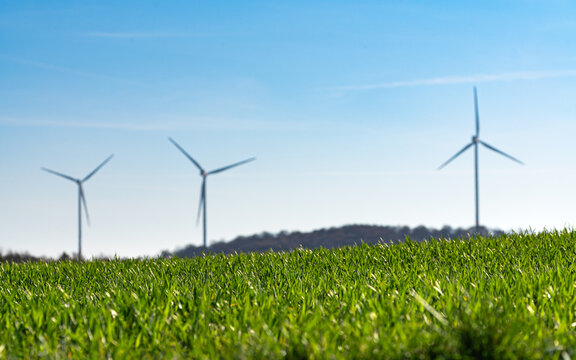 A vibrant agricultural scene featuring a field of young, bright green crops in sharp focus in the foreground. In the blurred background, three wind turbines stand on a distant hill under a clear blue 