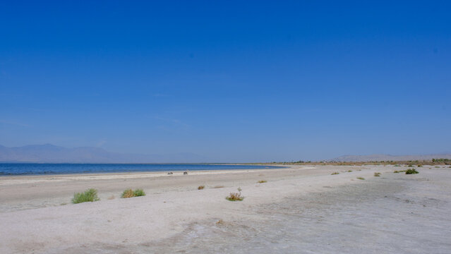 Deserted and barren lands of the Joshua Treen National Park