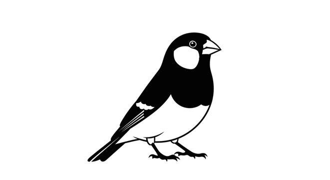 Simple Black and White Finch Illustration on White Background
