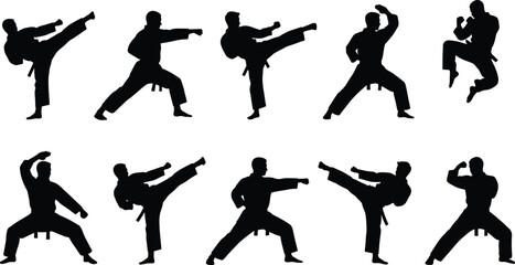 Martial arts silhouettes, karate and taekwondo fighters set, kickboxing poses, training vector illustration © VectoStudio