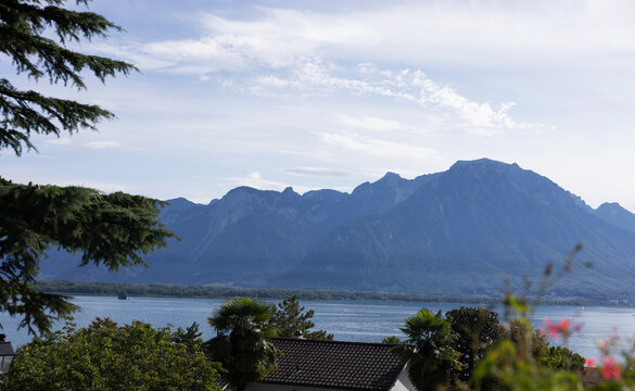 Mountain landscapes with trees and rocks and a lake