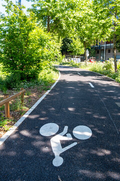 Bike lane in Lyon, France curves through trees, where white markings on pavement guide urban mobility along a shaded green street path