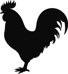 Black silhouette of a proud rooster standing sideways vector graphic illustration isolated on a solid white background © Arifuxxaman