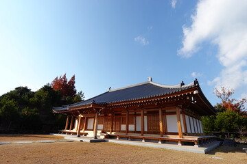 Obraz premium Colorful Japanese Autumn Leaves Against Blue Sky