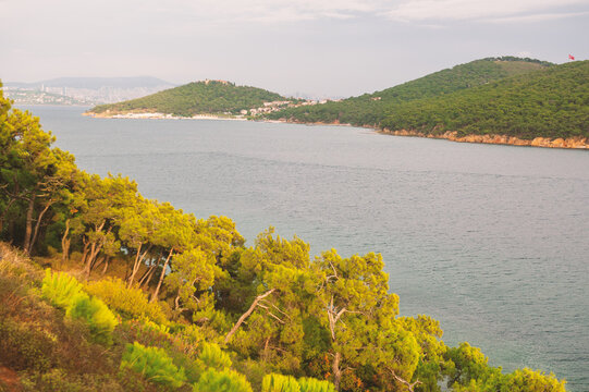 Scenic seaside landscape overlooks calm horizon