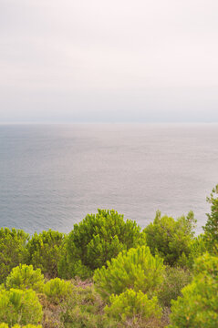 Scenic seaside landscape overlooks calm horizon