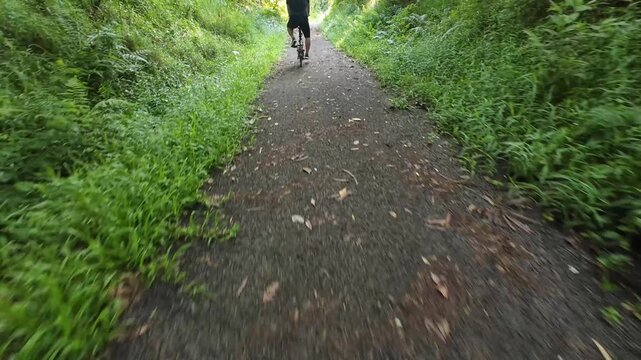 Paved cycling path in Singapore surrounded by lush green foliage and tropical ferns littered with dried leaves