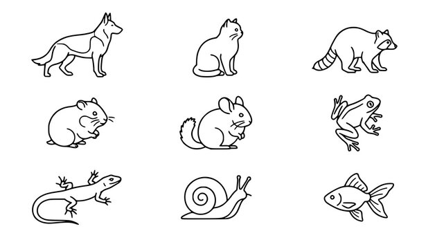 Thin line pet animal icon pack dog cat hamster frog fish raccoon lizard vector outline set