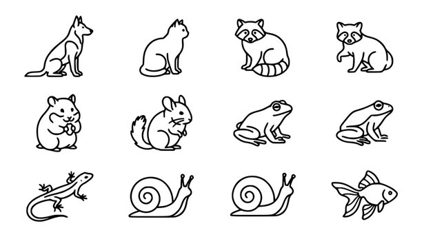 Thin line pets vector icon set dog cat raccoon hamster frog lizard fish snail chinchilla outline illustration
