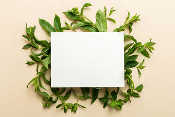 Wreath frame made of empty paper blank with space for text and mint leaves on colored background. . Mint Pattern. Flat lay. Top view © sosiukin