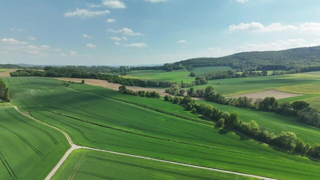 Aerial view of agricultural fields and farmland plain with distant hills at sunset in summer in Poland