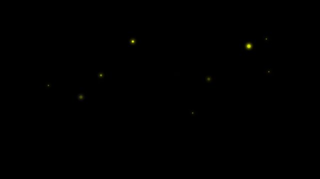 realistic fireflies at night transparent no background. insects chroma key graphic overlay