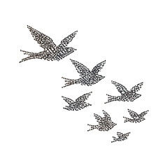 Fototapeta premium Silhouette flock of birds