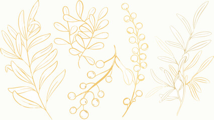 Golden botanical line art illustration featuring various leaf and berry branch depictions on a pale background drawing plant sketch foliage artwork © Sampad