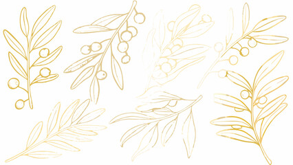 Golden olive branch and berry botanical illustration with delicate line work on a light background leaves berries art lines gold color © Sampad