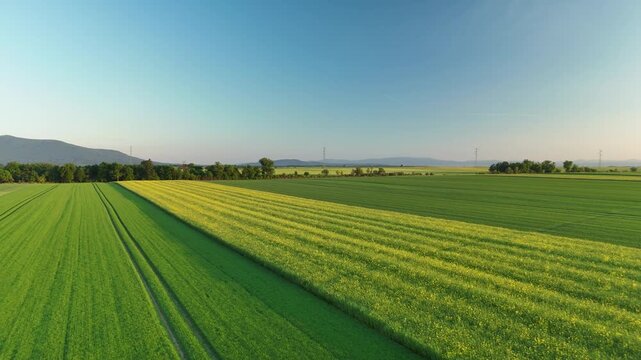 Drone view of farmland patchwork and crop fields stretching to low hills in early morning light