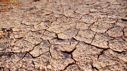 Fototapeta premium Cracked Earth Texture in Sunlit Desert Landscape Highlighting Effects of Drought and Climate Change