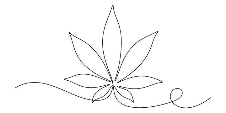 Continuous line drawing of a cannabis leaf, minimalist botanical art