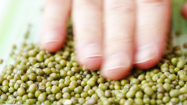 Growing microgreens with a simple machine for fast results