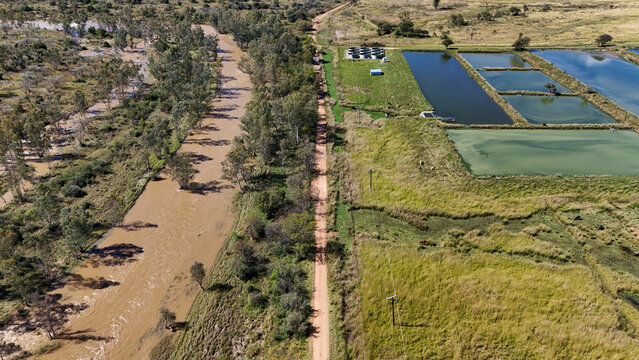 Aerial view of a silty brown river flowing parallel to a dirt track and rectangular aquaculture ponds in a rural landscape South Africa.