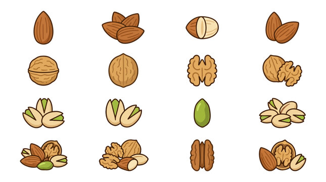 Variety of nuts on display.