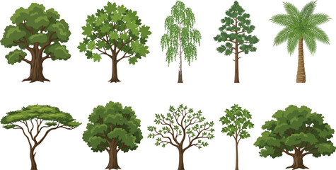 Collection of various cartoon trees with green leaves and brown trunks on white background © VectoLover