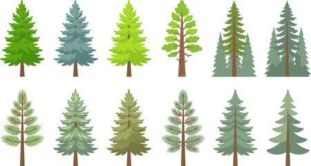 Collection of various green pine trees in cartoon style on white © VectoLover