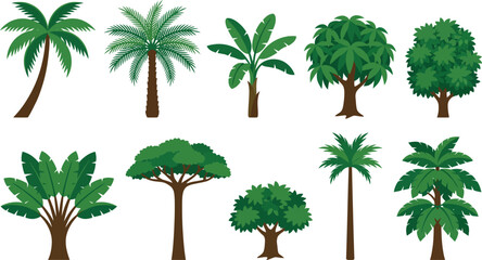 Collection of various green trees and palms on white background  illustration © VectoLover