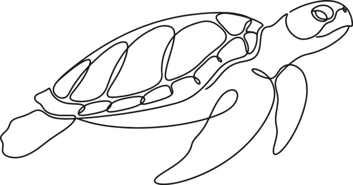 turtle swimming in water with one line drawing style