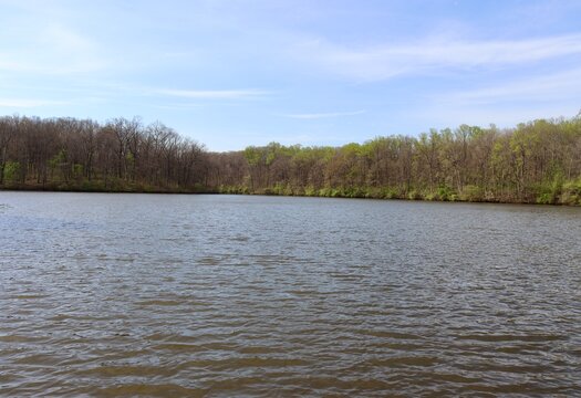 The peaceful lake in the park on a sunny day.