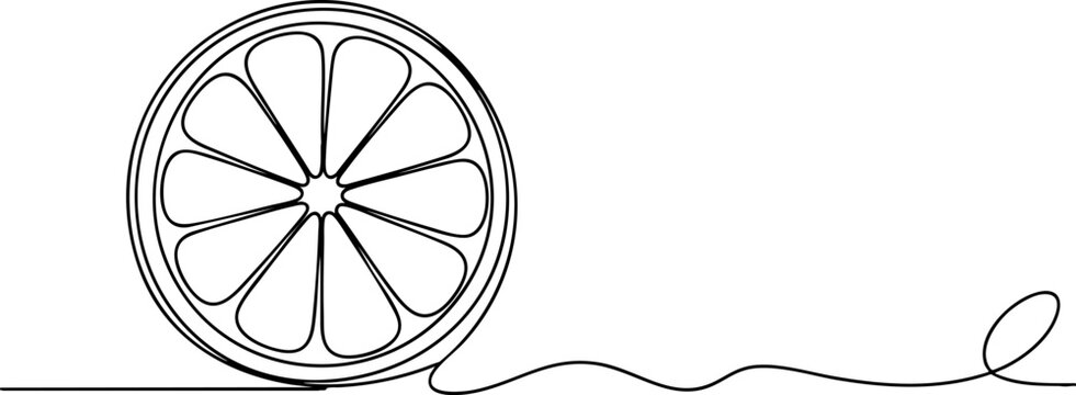 Continuous line drawing of citrus fruit slice with decorative wave and loop on transparent background.