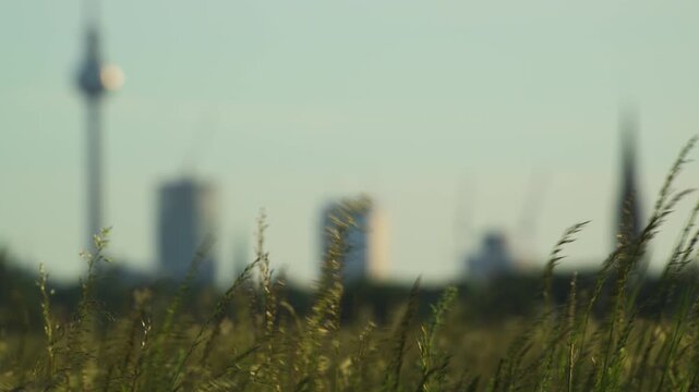 Berlin downtown grass foreground 4K