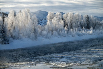 Frost covered trees along the Snake River at sunrise  Grand Teton NP  Wyoming © Tom