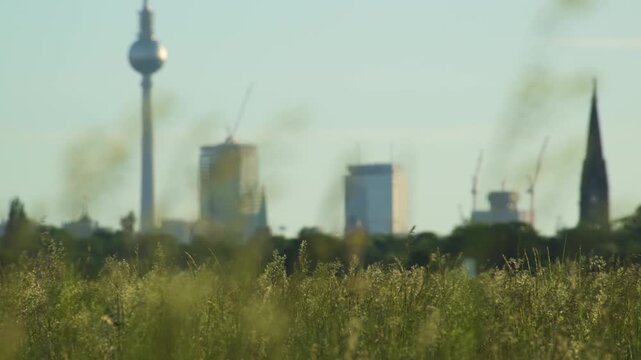 Berlin downtown grass foreground 4K  