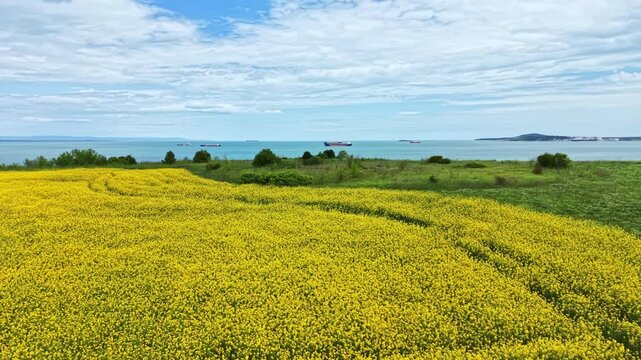 A yellow field covers the land near a large body of water. Ships are visible in the distance under a blue sky filled with clouds. The scene shows nature and human activity.