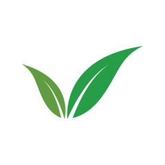 Fototapeta premium ecology beautiful green leaves spring